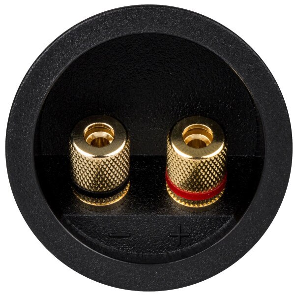 Main product image for Pressfit Speaker Terminal 2-1/4" Gold Binding Post 260-282